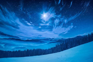 Foto auf Glas Vollmond am Sternenhimmel © Bashkatov