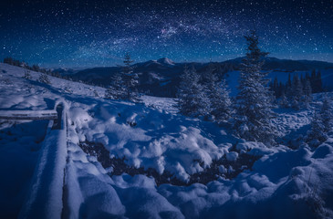Ukrainian winter night with many stars in a sky