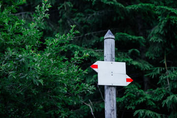 Wooden pointer on background of green trees