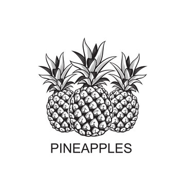 black image of pineapple tropical fruits