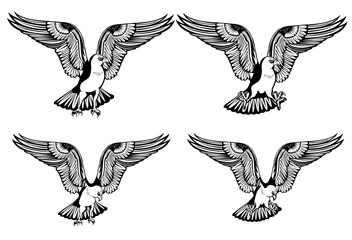 Image of an eagle with a different arrangement of paws and heads for your print design and the Internet. Vector illustration.