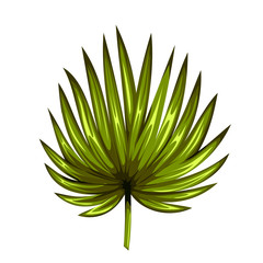 Green leaf of palm tree isolated on white background. Palm leaf icon.