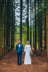 Fototapeta premium Wedding couple are walking in the forest. Newlyweds embacing in pine park and hug each other