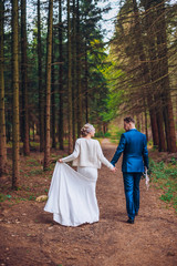 Beautiful newlyweds couple walking in the woods. Honeymooners. Bride and groom holding hand in pine forest.