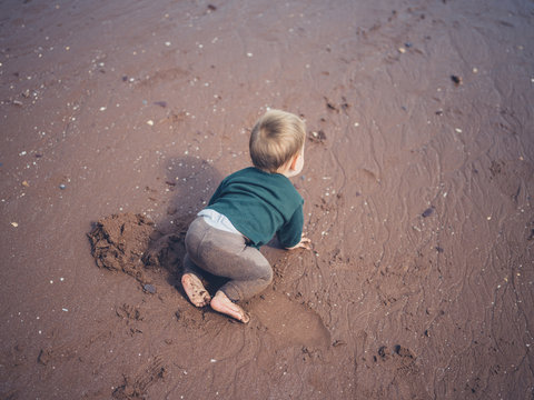 Little baby crawling on the beach