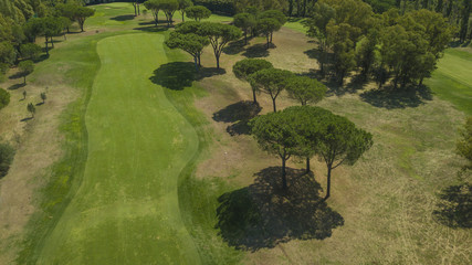 Vista aerea di un campo da golf con ostacoli di sabbia, enormi prati e albero che rendono più...