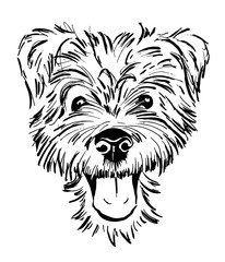 dog breed terrier portrait