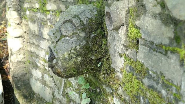 Fountain of a small spring at Ulmener Maar, volcanic crater (Rhineland-Palatinate, Germany).