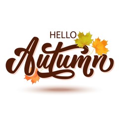 Hello Autumn hand lettering, custom calligraphy with maple leaves on white background. Vector illustration.