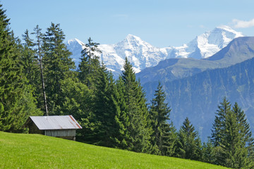 Fototapeta na wymiar aussicht vom niederhorn, alpen, schweiz 