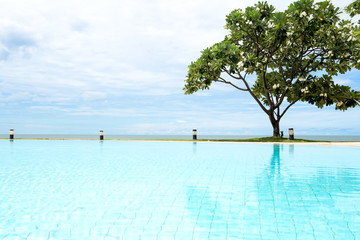 Swimming pool with  Plumeria tree and blue sky and ocean