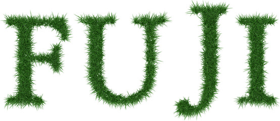 Fuji - 3D rendering fresh Grass letters isolated on whhite background.