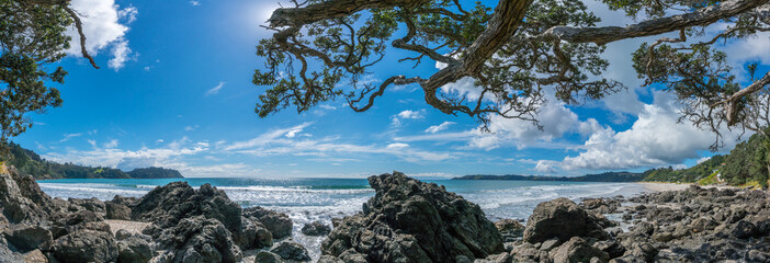 Onetangi Beach Waiheke Island Neuseeland © Andrea Izzotti