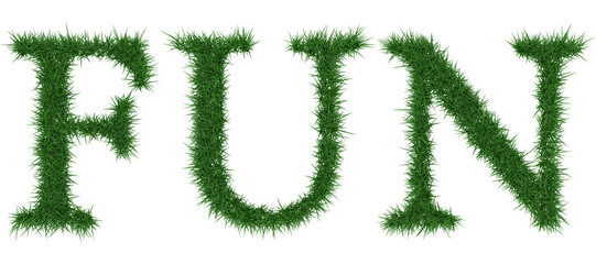 Fun - 3D rendering fresh Grass letters isolated on whhite background.
