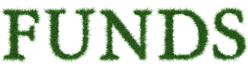 Funds - 3D rendering fresh Grass letters isolated on whhite background.