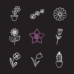 Fototapeta premium Flowers chalk icons set