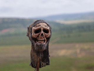 Human Skull with Worn Fabric Hat Outdoor on Thin Log