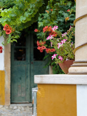 Decorative White and Pink Flowerpot and Antique Door in background