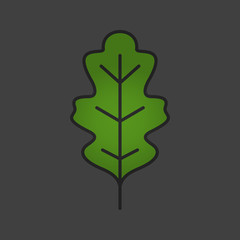 Oak leaf color icon