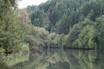 Canal du Rhône au Rhin