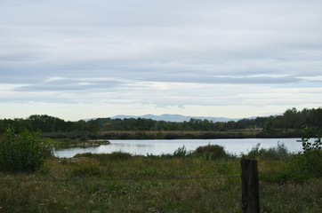 Vison d'un étang sur le Monts du Lyonnais