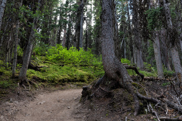 Rawson Lake Hiking Trail