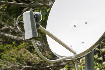 Satellite dish - TV
