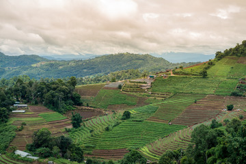 Obraz premium asian mountain agriculture and farm have beautiful view before sunset will refreshing life at Chiang Mai Thailand
