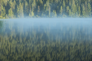 Symmetry view of Trillium Lake