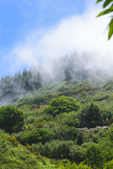 Fototapeta premium Fog on the Mountains on Grand Canary