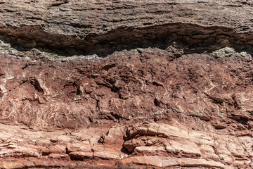 stratified sedimentary rocks