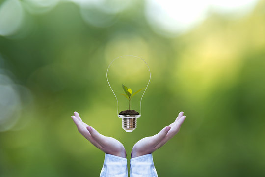 Hand holding on light bulb with green plant inside for saving earth, nature green background. Idea environmental conservation Concept