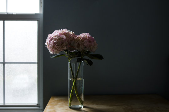 Hydrangeas in drinking glass at table against wall