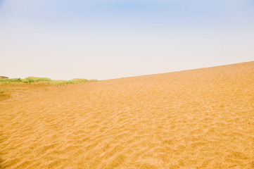 Fototapeta premium sand dune desert and sky in morning