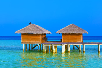 Bungalows on tropical Maldives island