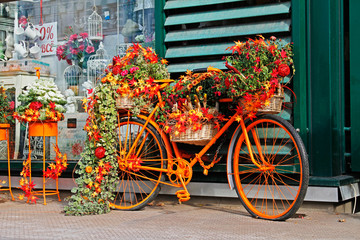 Fototapeta na wymiar Bicycle decorated with autumn flowers, leaves, pumpkins and corns near the shop