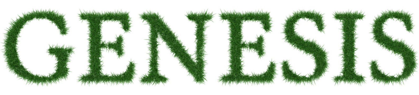 Genesis - 3D rendering fresh Grass letters isolated on whhite background.