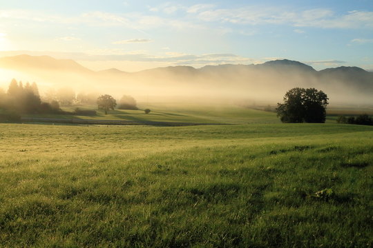 Naturlandschaft am Morgen
