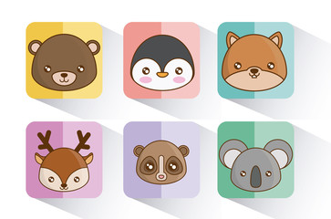 cute animals icons over colorful squares and white background vector illustration
