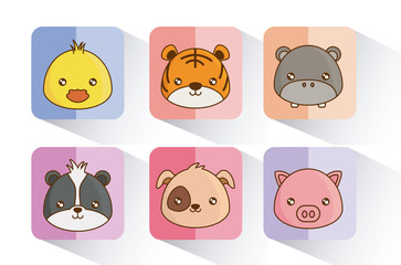 cute animals icons over colorful squares and white background vector illustration