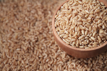 Indian Wheat with Wooden Scoop