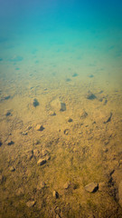 water
