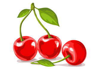 Cherry vector