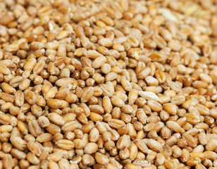 Surface of ripe grain.