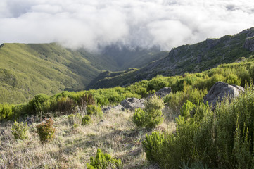 Pico Ruivo hiking, above clouds, amazing magic landscape, incredible views, sunny weather with low clouds, island Madeira, Portu