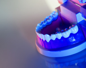 Dental teeth dental model