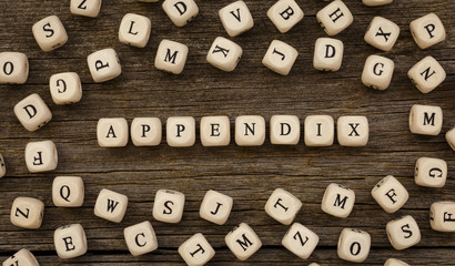 Word APPENDIX written on wood block