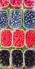 Raspberry, gooseberry and blueberries on market