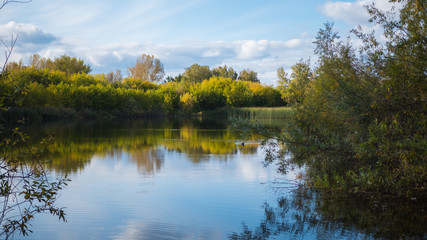 A small lake in the Park, the yellowing trees along the shore. The reflection of sky and trees in the water of the lake. A beautiful scenic place