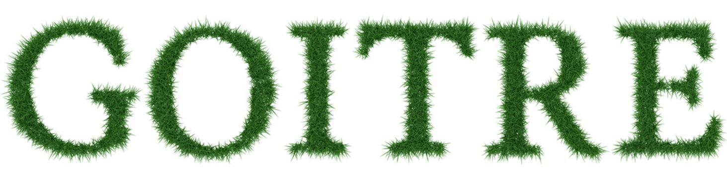 Goitre - 3D rendering fresh Grass letters isolated on whhite background.
